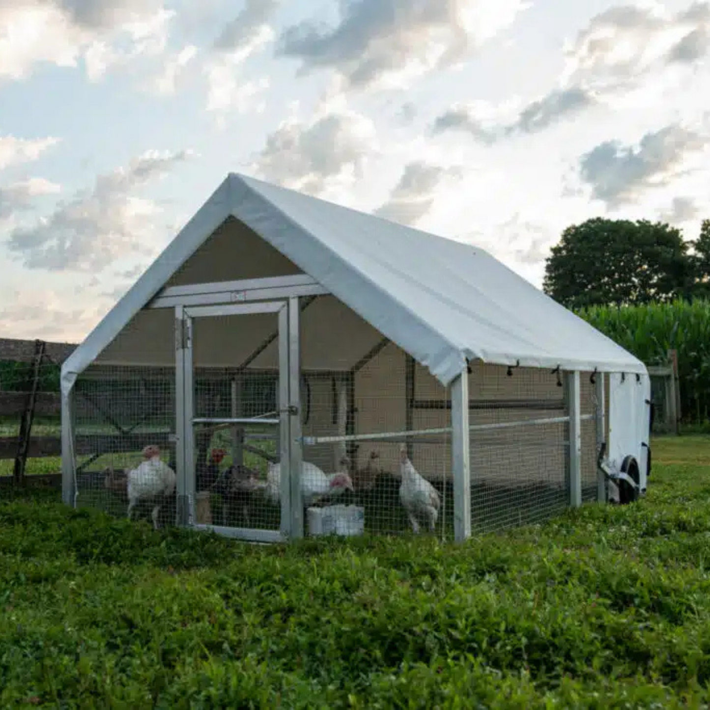 Pollaio Mobile 8×10 per Fattorie e Giardini