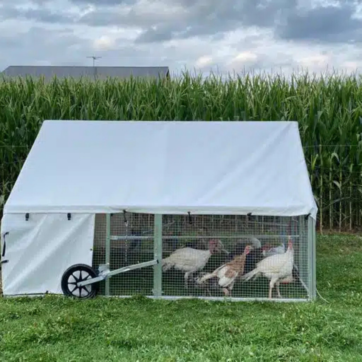 Pollaio Mobile 8×10 per Fattorie e Giardini