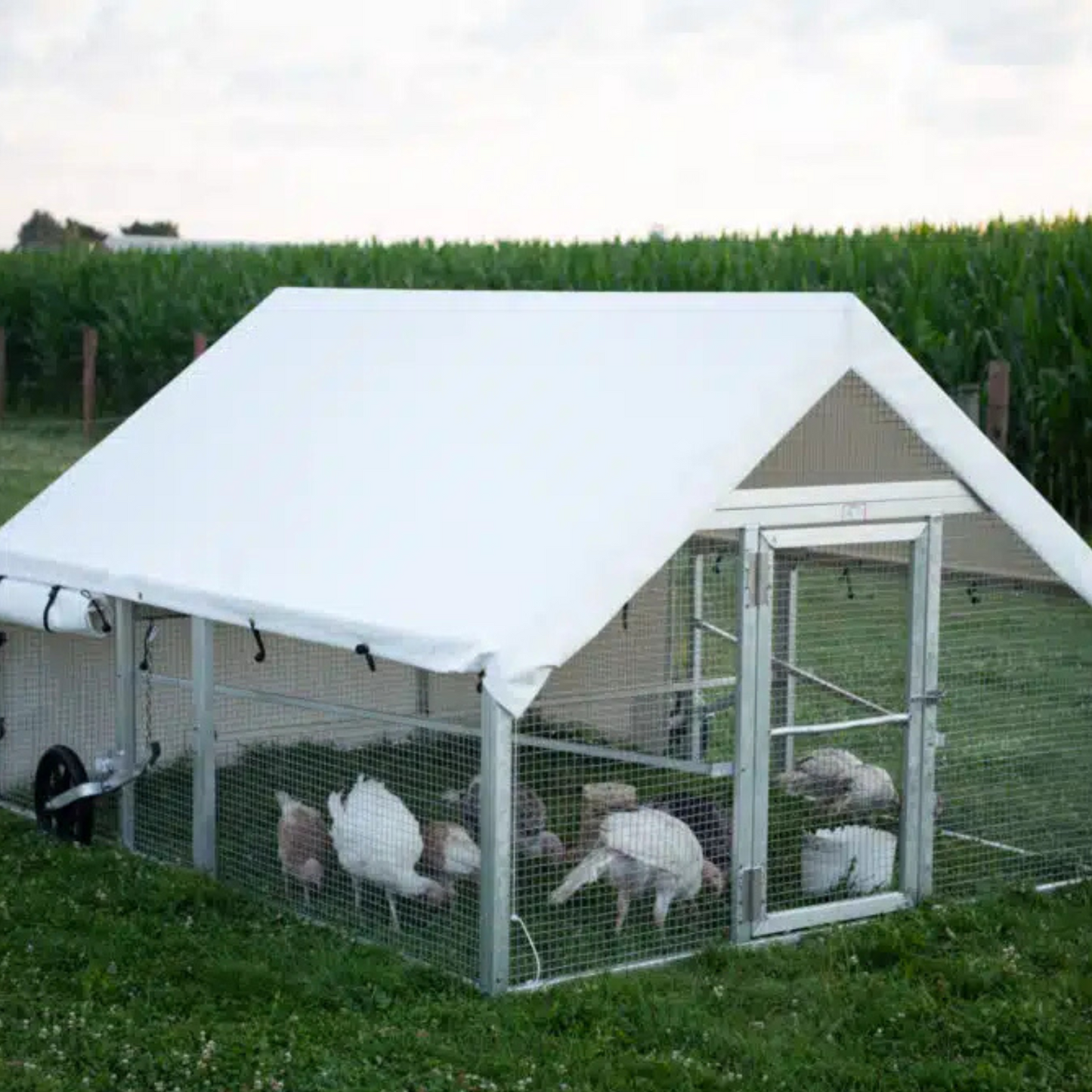 Pollaio Mobile 8×10 per Fattorie e Giardini