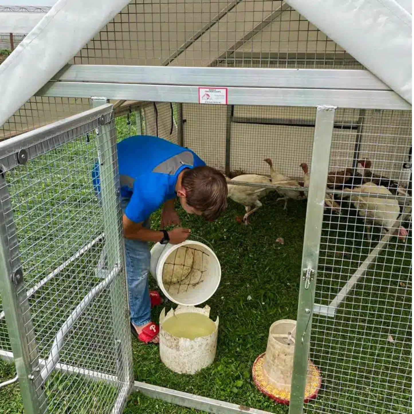 Pollaio Mobile 8×10 per Fattorie e Giardini